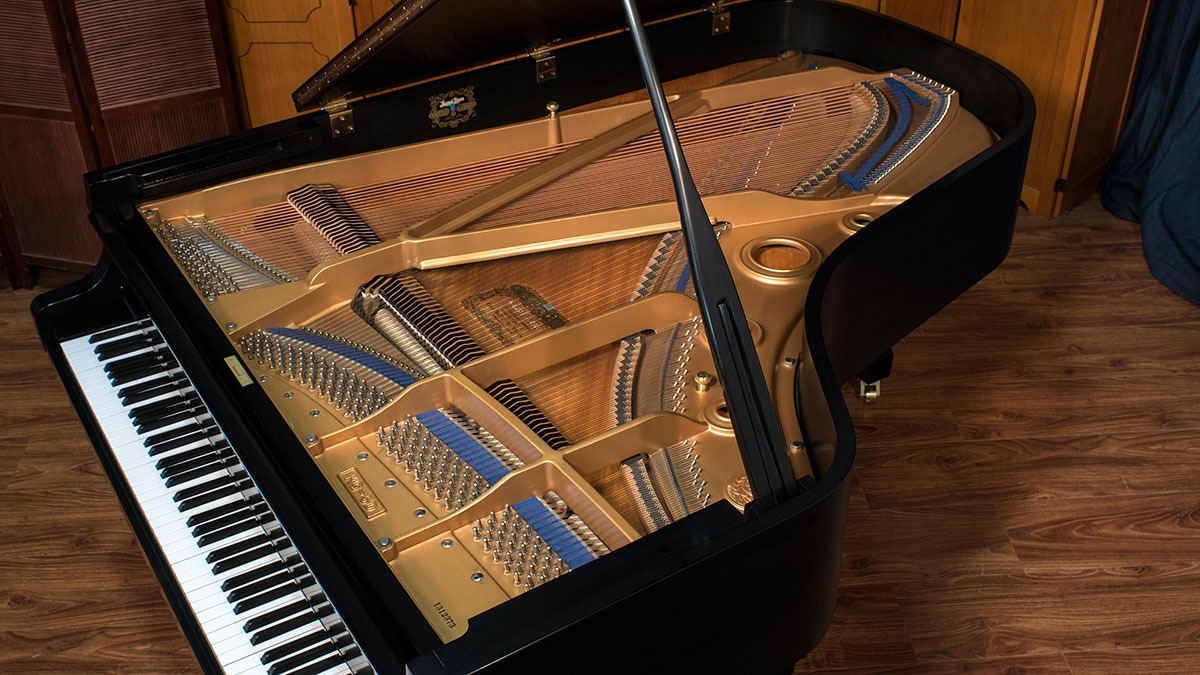 grand piano kg 5d